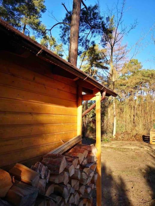Vila Haus Clemens - Gemuetliches Holzhaus Mit Grundstueck Königs Wusterhausen Exteriér fotografie
